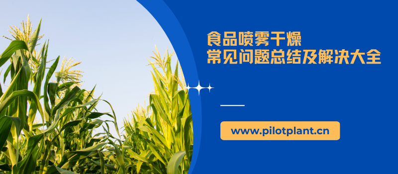 食品喷雾干燥 常见问题总结及解决大全